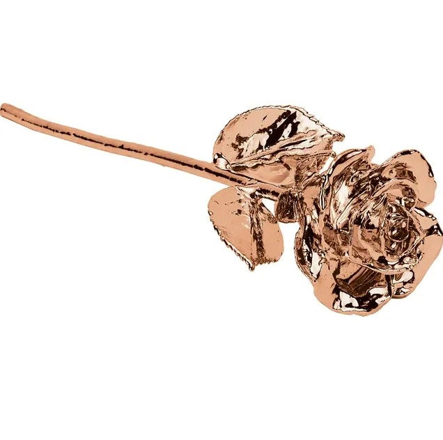 24K Gold Rose on Genuine Leather Display