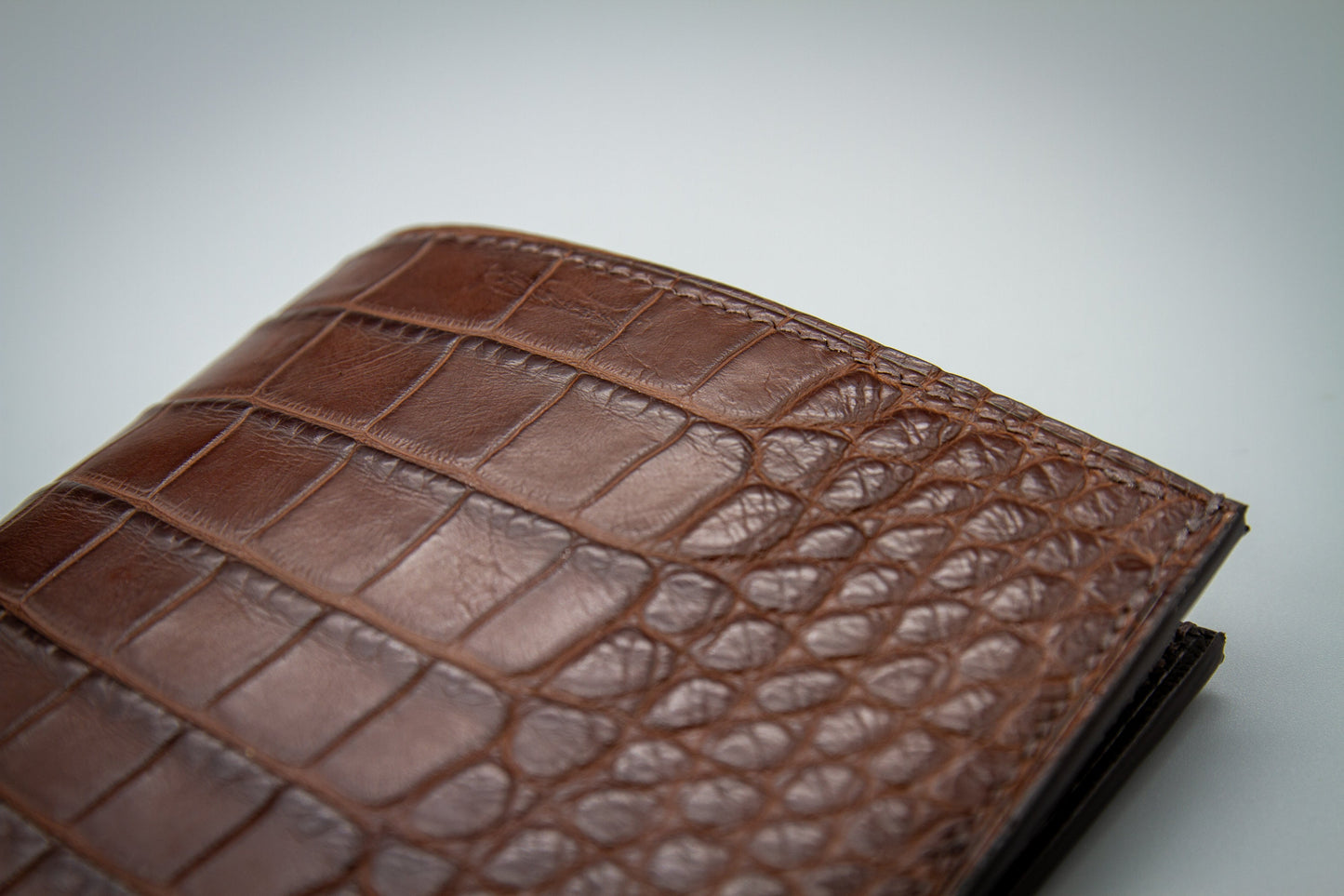 Alligator Passport Holder Wallet - Travel Organizer