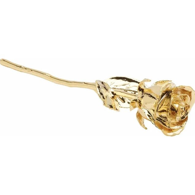 24K Gold Rose on Genuine Leather Display
